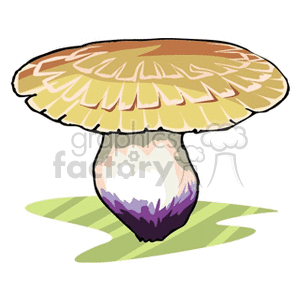 mushroom34