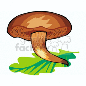 mushroom43