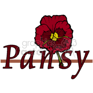The image displays a stylized red pansy flower with dark shading near the edges of the petals and a yellow center. The word Pansy is written below the flower in a decorative script, which suggests the image is likely used for educational or decorative purposes to represent the plant.