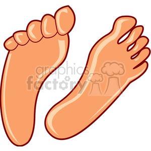 Human Feet with Toes and Soles