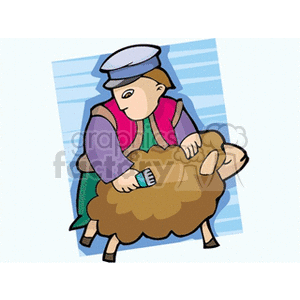 man shaving a sheep