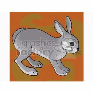 Rabbit Star Sign for Chinese Horoscope