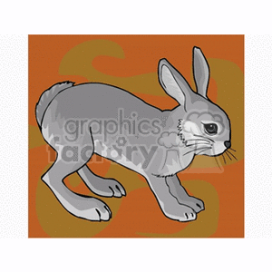 A clipart image of a gray rabbit against a brown background, representing the rabbit star sign in Chinese astrology.