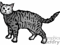 Cat Clip Art Image - Royalty-Free Vector Clipart Images Page # 1 at ...