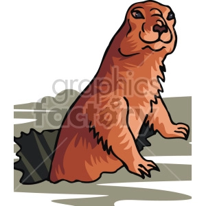 The clipart image depicts a groundhog or woodchuck, a type of rodent that belongs to the squirrel family. The animal is standing on its hind legs leaning out of a hole, looking straight ahead with its front paws resting on the ground