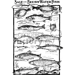 A black and white clipart image depicting various saltwater and freshwater fish. The fish shown include flounder, bass, haddock, pike, shad, mackerel, herring, smelt, brook trout, and salmon.