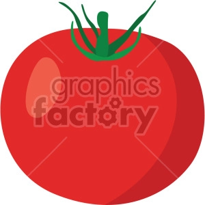 tomato no background