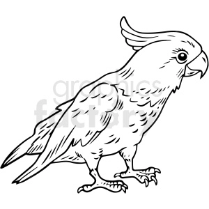 Black and white realistic parrot vector clipart