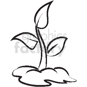 black and white plant vector clipart