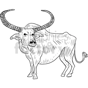 water buffalo black and white clipart