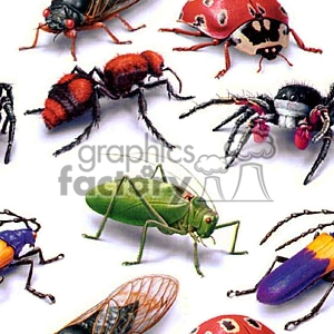A clipart image featuring a variety of insects, including a grasshopper, ladybugs, ants, and spiders, illustrated in vibrant colors on a white background.