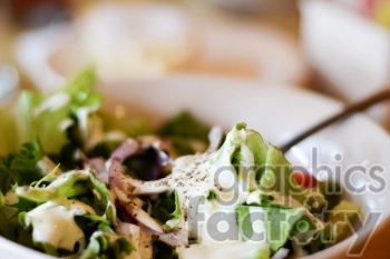 A close-up image of a fresh garden salad with lettuce, onions, and dressing.