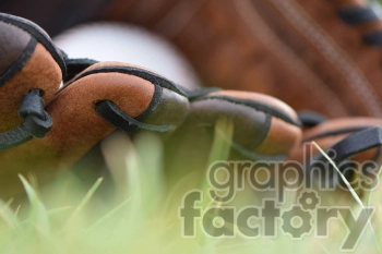 baseball glove in grass close up