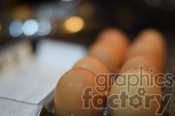 Close-up image of fresh brown eggs in a carton with a blurred background.