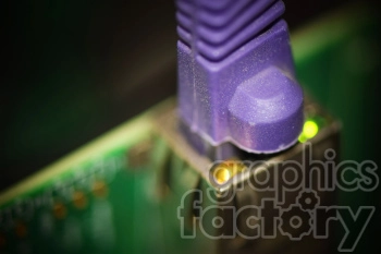 Close-up image of a purple Ethernet cable connected to a port with a green circuit board in the background.