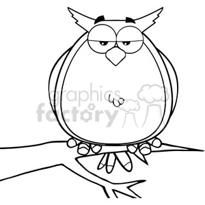 Funny Cartoon Owl Line Drawing