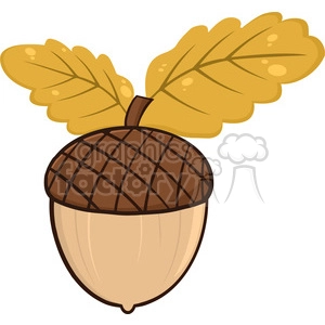 Acorn With Oak Leaves Cartoon Illustrations