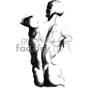 An artistic black and white clipart image depicting the back of a muscular male statue with detailed shading.