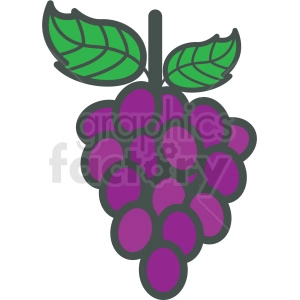 grapes vector icon