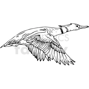 A black and white clipart image of a duck in flight with detailed wings and body.