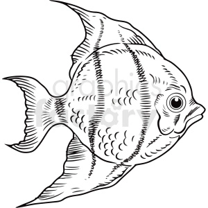 black white realistic tropcal fish clipart