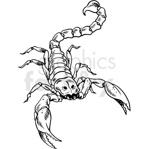 The clipart image depicts a black and white scorpion, in a tattoo design style.
