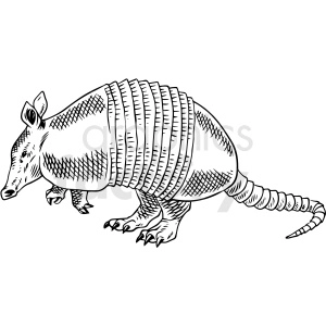 Black and white clipart image of an armadillo.