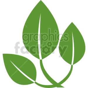 plant branch vector clipart
