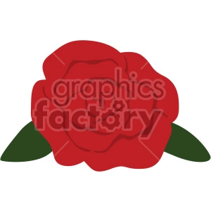 red rose vector icon no background