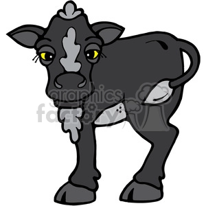 Hefer Calf Cow in color