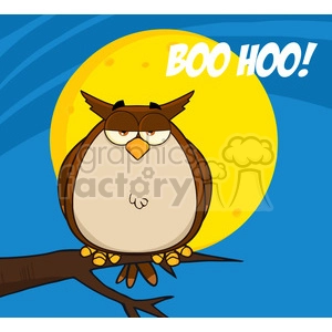 Funny Grumpy Owl with Full Moon - Humorous Nighttime Cartoon