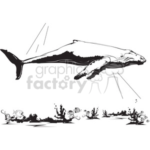 large whale outline vector