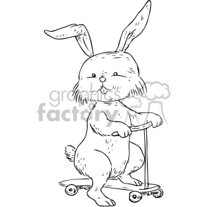 rabbit riding a scooter character vector illustration