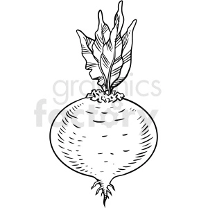The clipart image shows a black and white cartoon-style radish, which is a type of root vegetable commonly used in salads or as a snack. The image is in vector format, which means it can be scaled without losing quality.
