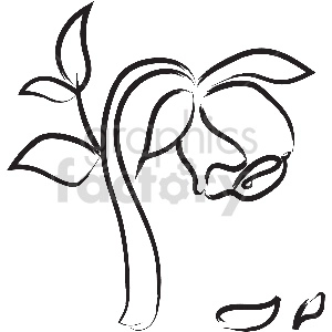 black and white rose vector clipart