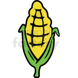 Image of an Ear of Corn