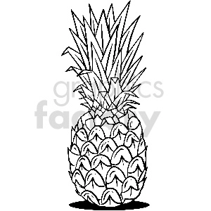 black and white pineapple vector clipart