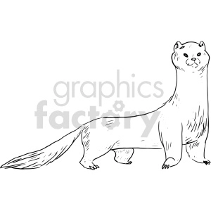 The clipart image depicts a drawing of a weasel or a ferret-like animal. It appears to be a line art illustration, featuring a slender body, long tail, and a characteristic elongated neck.
