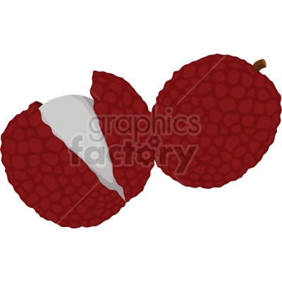 lychee fruit vector clipart