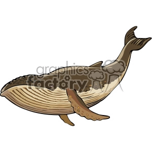 The image depicts a stylized illustration of a whale. It features the whale in a side profile view with details such as a pleated throat, characteristic of baleen whales, a dorsal fin, flippers, and a fluked tail.