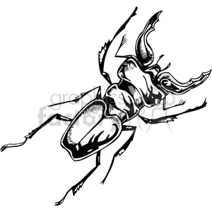beetle clipart
