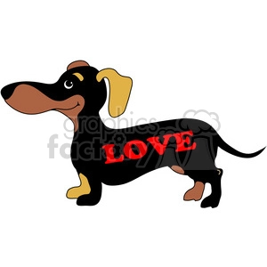 Dachshund with love on its side