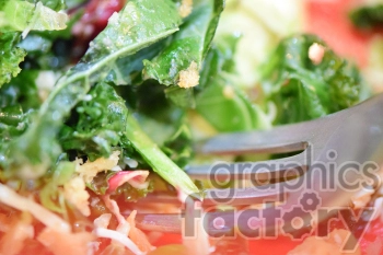 Close-up image of a fresh salad with leafy greens, shredded vegetables, and a fork.