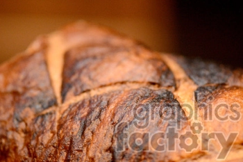 Close-up image of a loaf of crusty, baked bread with detailed texture.