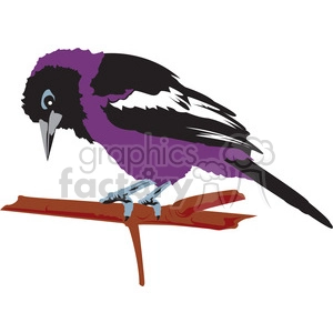 A colorful clipart image of a bird with purple and black feathers perched on a brown branch.