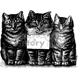 Vintage black and white clipart image of three kittens. The center kitten holds a blank sign hanging from its neck.