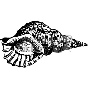 A black and white clipart image of a conch shell with detailed textures.