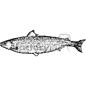 A black and white clipart image of a fish with intricate, abstract patterns.