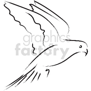black and white love bird vector clipart