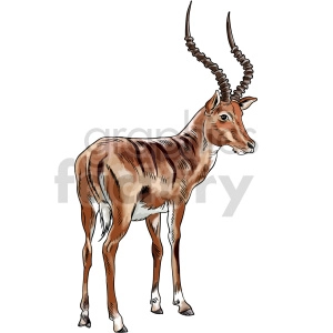 The clipart image features an antelope with prominent, spiraled horns, standing in profile view. It displays a detailed illustration with brown hues and white accents on the antelope's body.